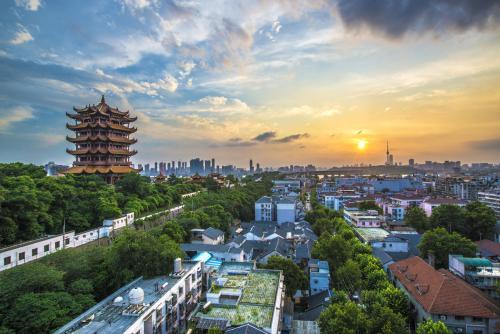 湖北绿意盎然，活力湖北无限绽放