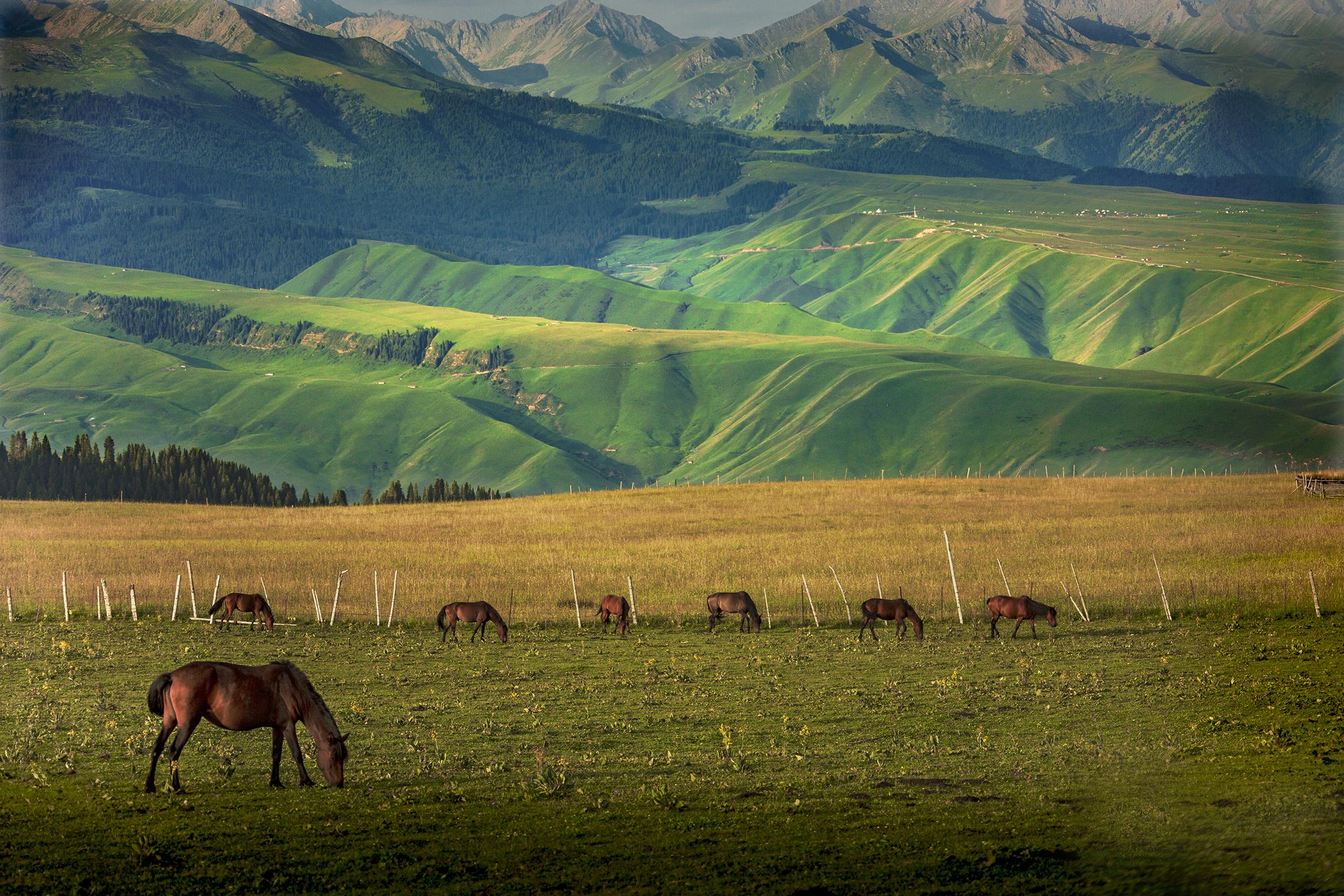 多元文化交融的边疆明珠，新疆印象